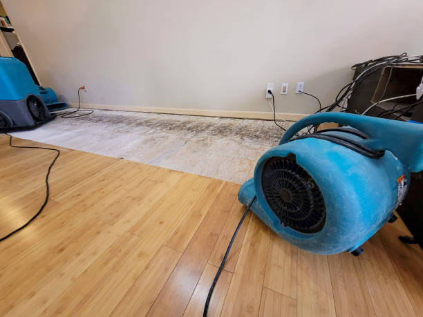 Professional Water Removal technician working in Sloatsburg, NY